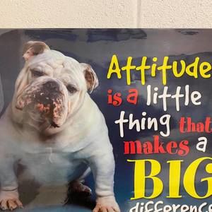 Meet your Posher, Harry